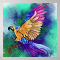 Belo Poster de papagaio colorido - Aquarela