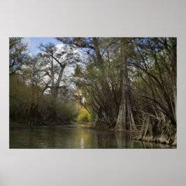 Belo Primavera de queda Impressão