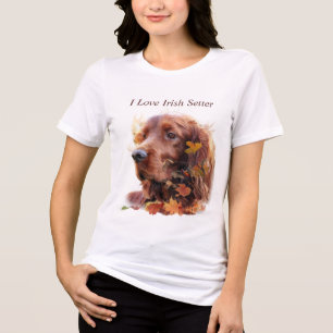 Belo Red Setter Irlandês