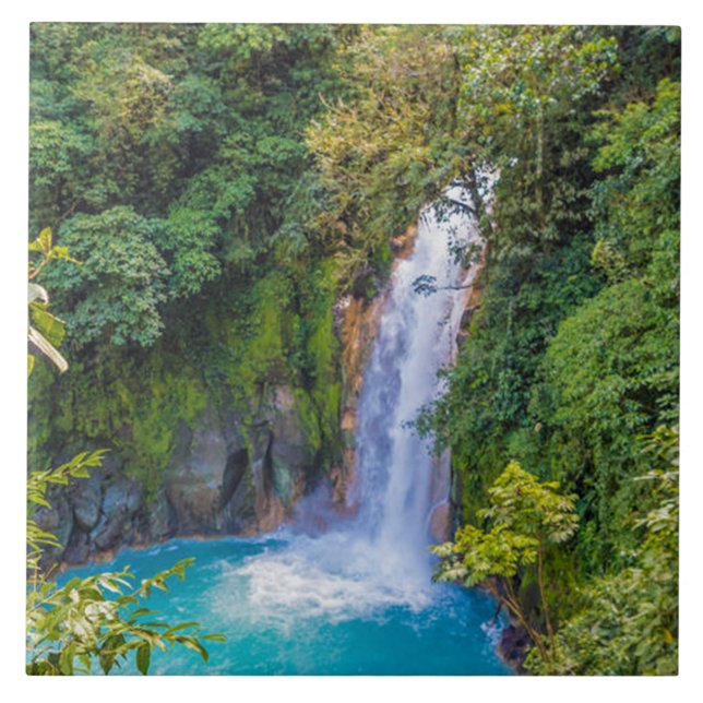 Belo Relaxamento da Caipira Única Azul na Selva (Frente)