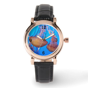 Belo relógio de águas-vivas