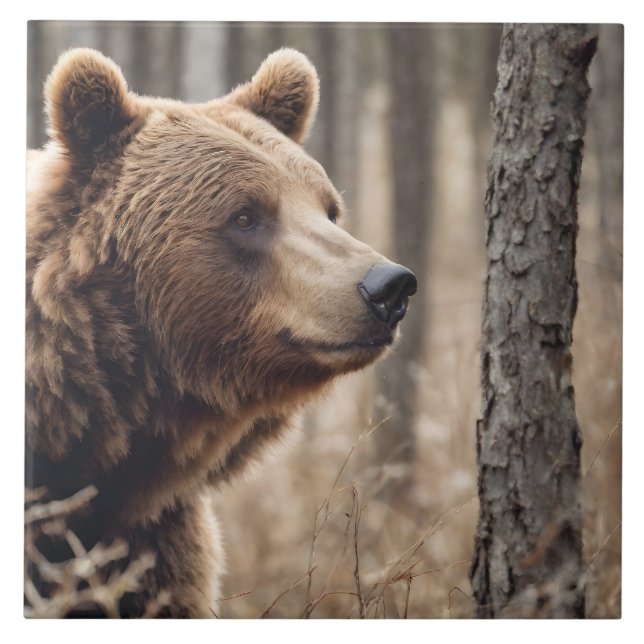 Belo Retrato de Urso Cinzento, Urso Marrom 3a (Frente)