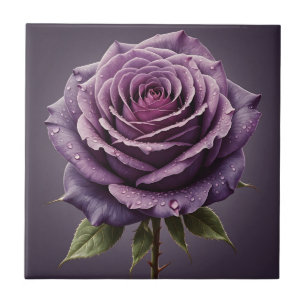 Belo rosa roxo