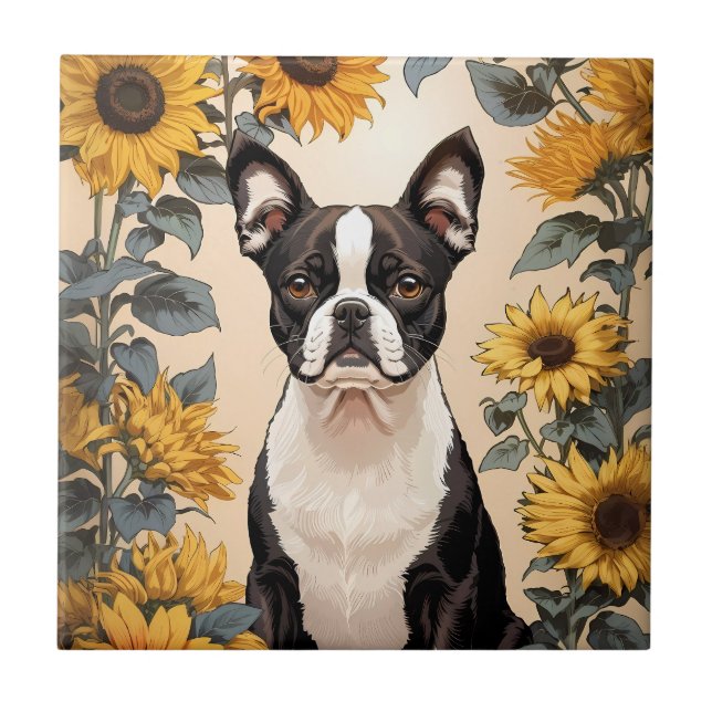 Belo Sol Amarelo de Boston Terrier (Frente)