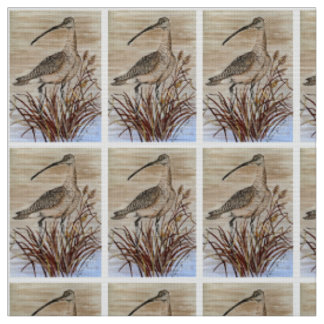 Belo Tecido de Whimbrel