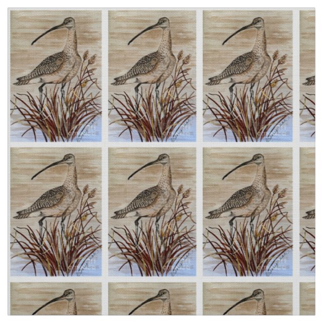 Belo Tecido de Whimbrel (Modelo)
