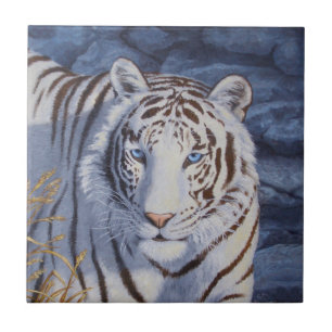 Belo Tigre Branco com Olhos Azuis Cristais