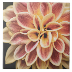 Belo Verão Dahlia Flower (Bonito Arte Floral)