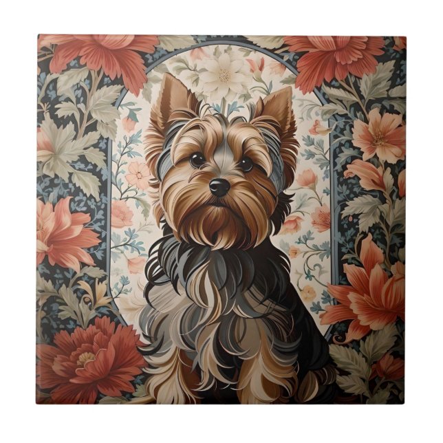Belo Yorkie | Yorkshire Terrier Portrait (Frente)