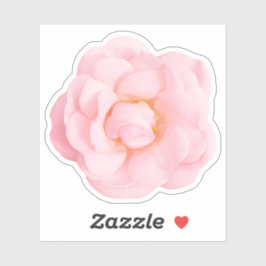 Belos adesivos rosa rosa