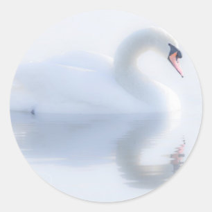Belos Adesivos Swan