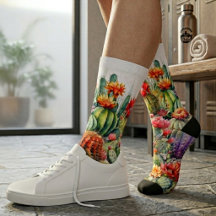 Belos Cactos Floridos