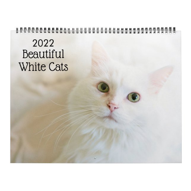 Belos Calendário 2022 de Gatos Brancos (Capa)