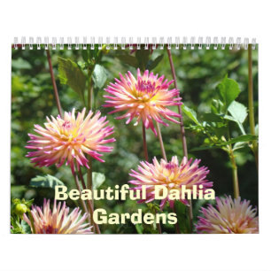 Belos Calendários Dahlia Jardins Fotos Florais