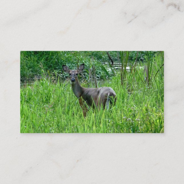 Belos Cartões de visitas (Frente)