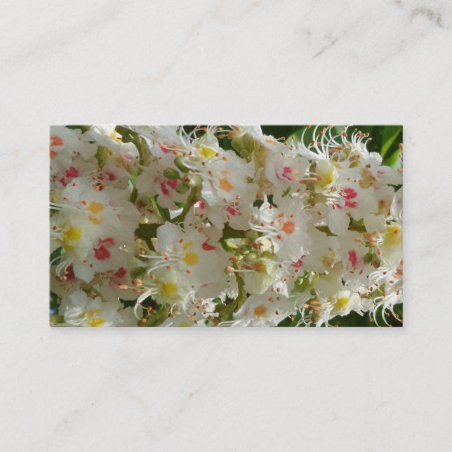 Belos Cartões de visitas Flores (Frente)