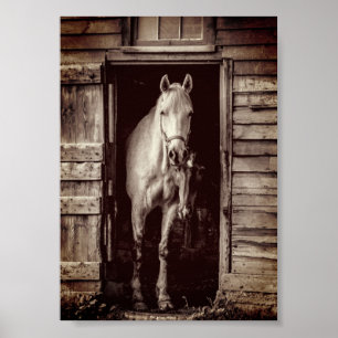 Belos Cavalos - Poster de Marrom Rústico