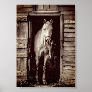 Belos Cavalos - Poster do Marrom Russo