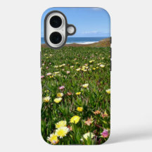 Belos Flores Costeiros/Foto de Vista Oceânica