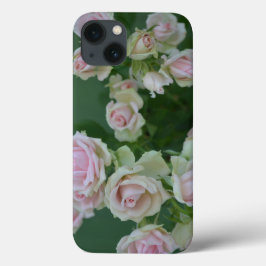 Belos rosas de jardim de rosas claro