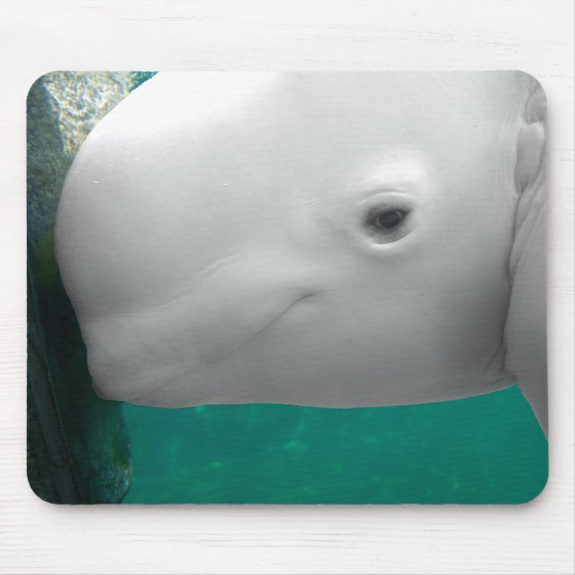 Beluga que olha Mousepad (Frente)