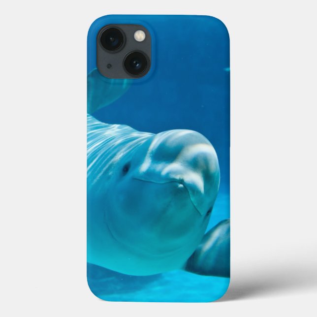 Beluga Whale (Verso)