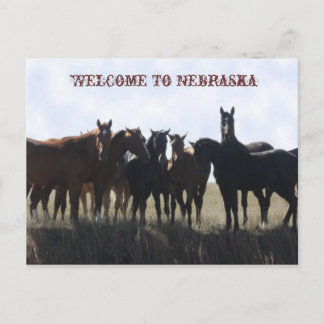 Bem-Vindo Ao Cartão Postal De Nebraska