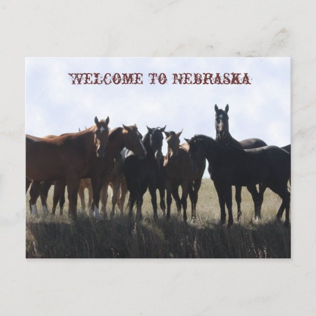 Bem-Vindo Ao Cartão Postal De Nebraska (Frente)