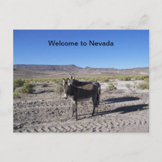 Bem-vindo ao Cartão Postal de Nevada com 2 burros