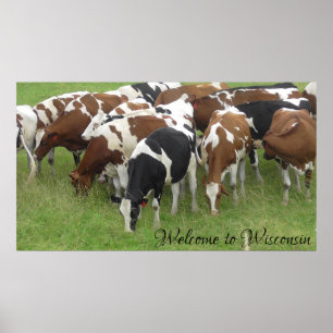 Bem-vindo ao Wisconsin Dairy Cows Photo Poster