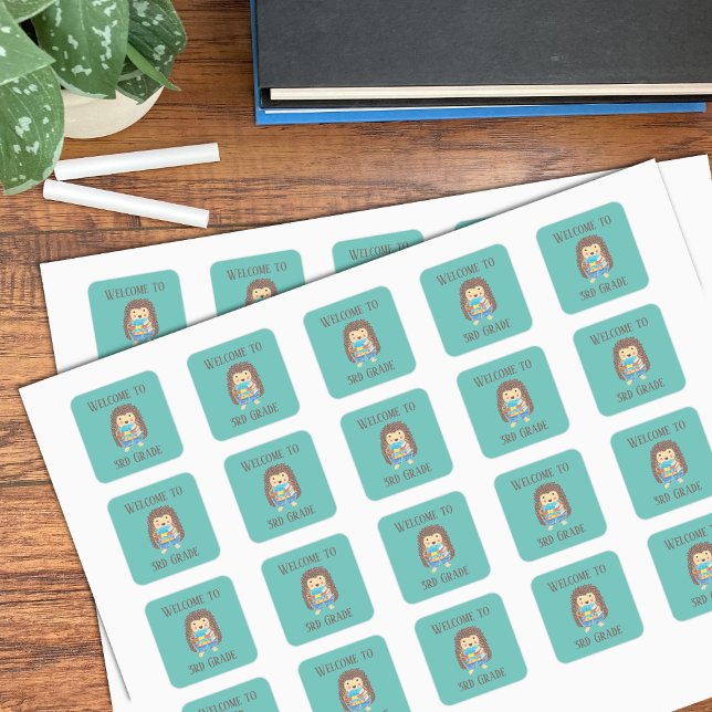 Bem-vindo aos adesivos Hedgehog de 3º grau (Criador carregado)