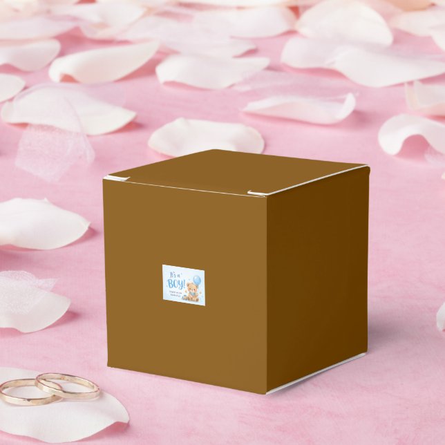 Bem-vindo Bebê Menino – Caixa de Favor com um Paco (Casamento)