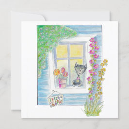 Bem-vindos - Novo Lar, Novo Gato - o que quiser!