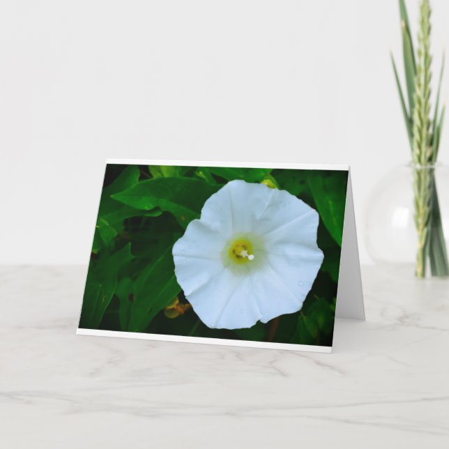 Bênção da Natureza, Cartão (Frente)