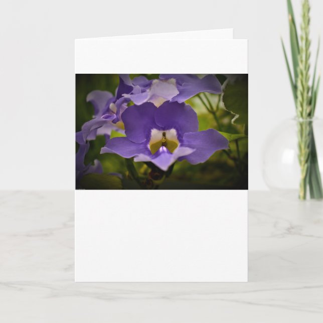 Bênção da Natureza, cartão (Frente)