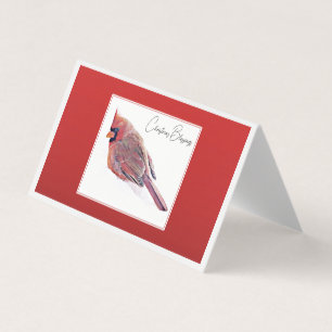 Bênçãos de Natal - O Nascimento do Nosso Senhor