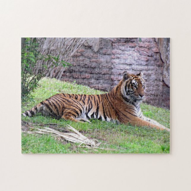 Bengal Tiger Quebra-cabeça (Horizontal)