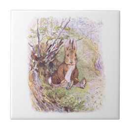 Benjamin Bunny (por Beatrix Potter)