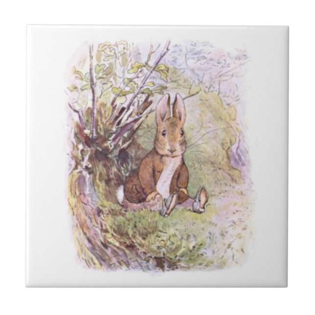 Benjamin Bunny (por Beatrix Potter) (Frente)