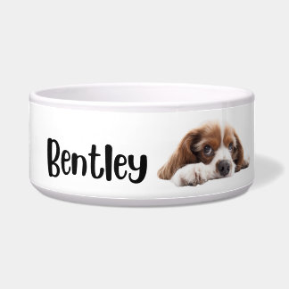 Bentley - cães e gatos - tigela personalizada