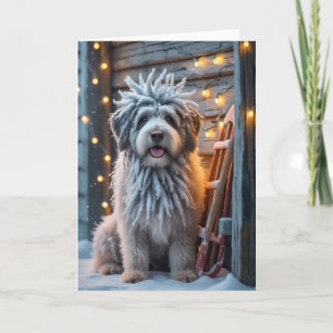 Bergamasco Sheepdog Cartão Saudação de Natal