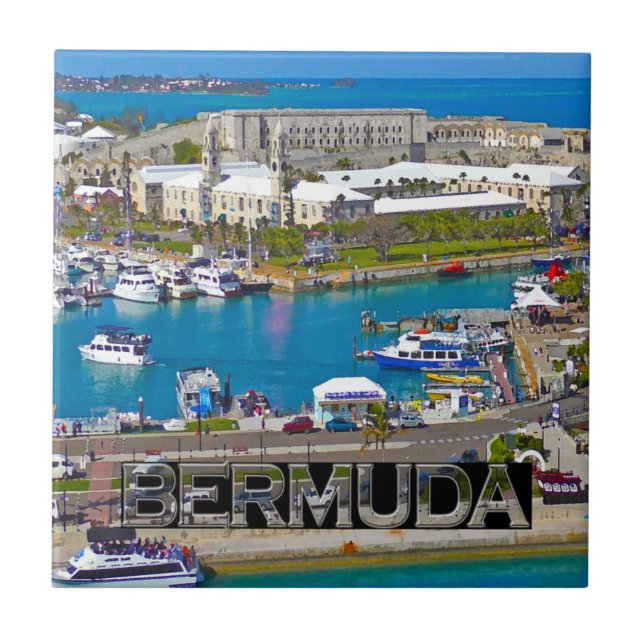 Bermuda (Frente)