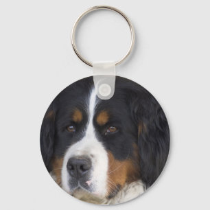Berner Sennenhund Chaveiro