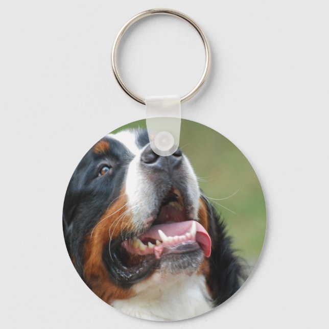 Berner Sennenhund Dog Chaveiro (Frente)