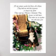 Bernese Mountain Dog Art Impressão
