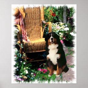 Bernese Mountain Dog Art Impressão