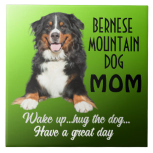 Bernese Mountain Dog Azulejo cerâmico