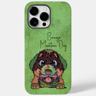 Bernese Mountain Dog Cara Feia