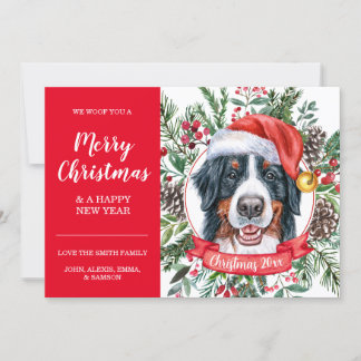 Bernese Mountain Dog Cartão de Natal barato