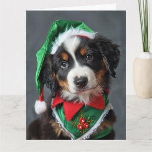 Bernese Mountain Dog Elf Puppy Cartão de Natal